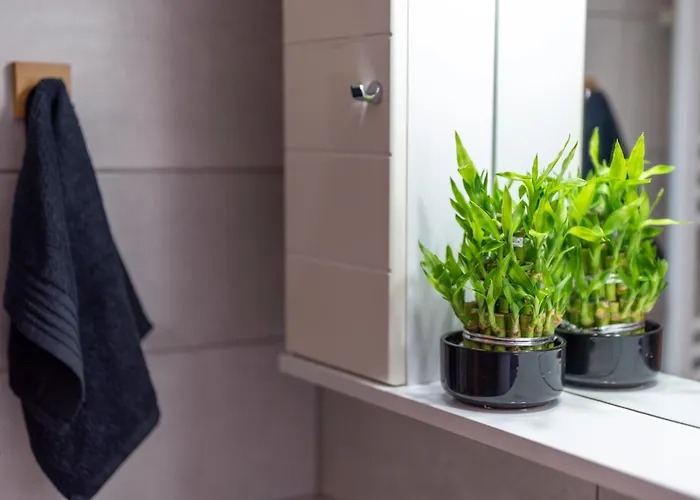 公寓 Matello 塞萨洛尼基